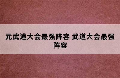 元武道大会最强阵容 武道大会最强阵容